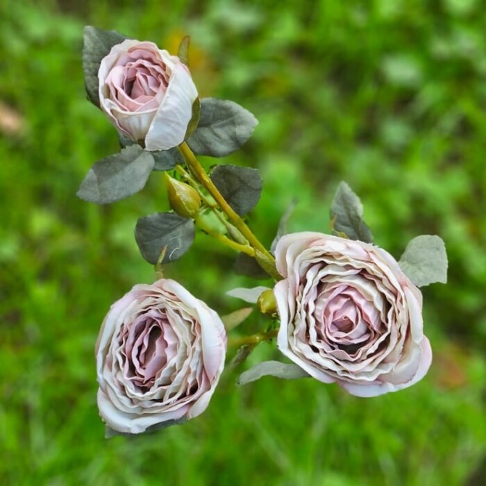 Peonia, atelier bologna, fiore artificiale, shabby chic